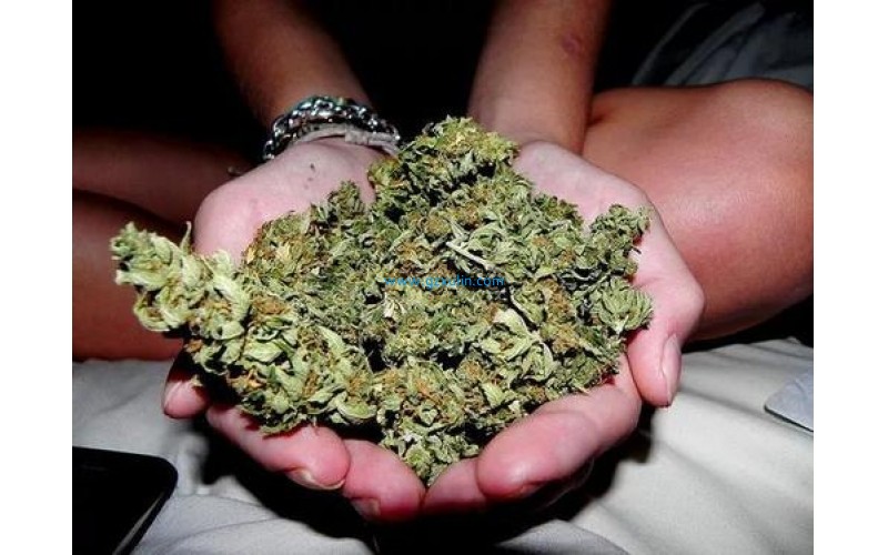 2020年各大品牌最喜歡修復原料 大麻二酚CBD